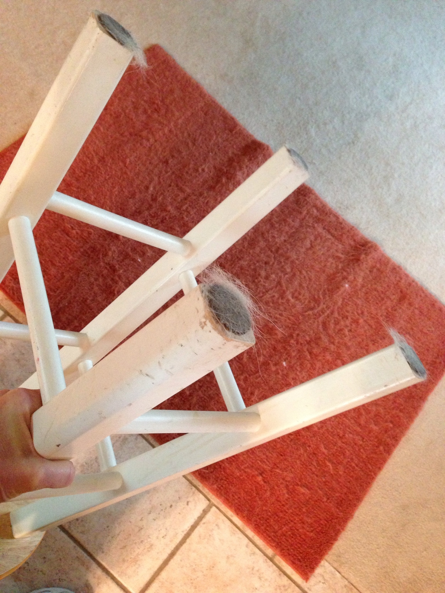 How to Keep Dog Hair Off Chair Legs 