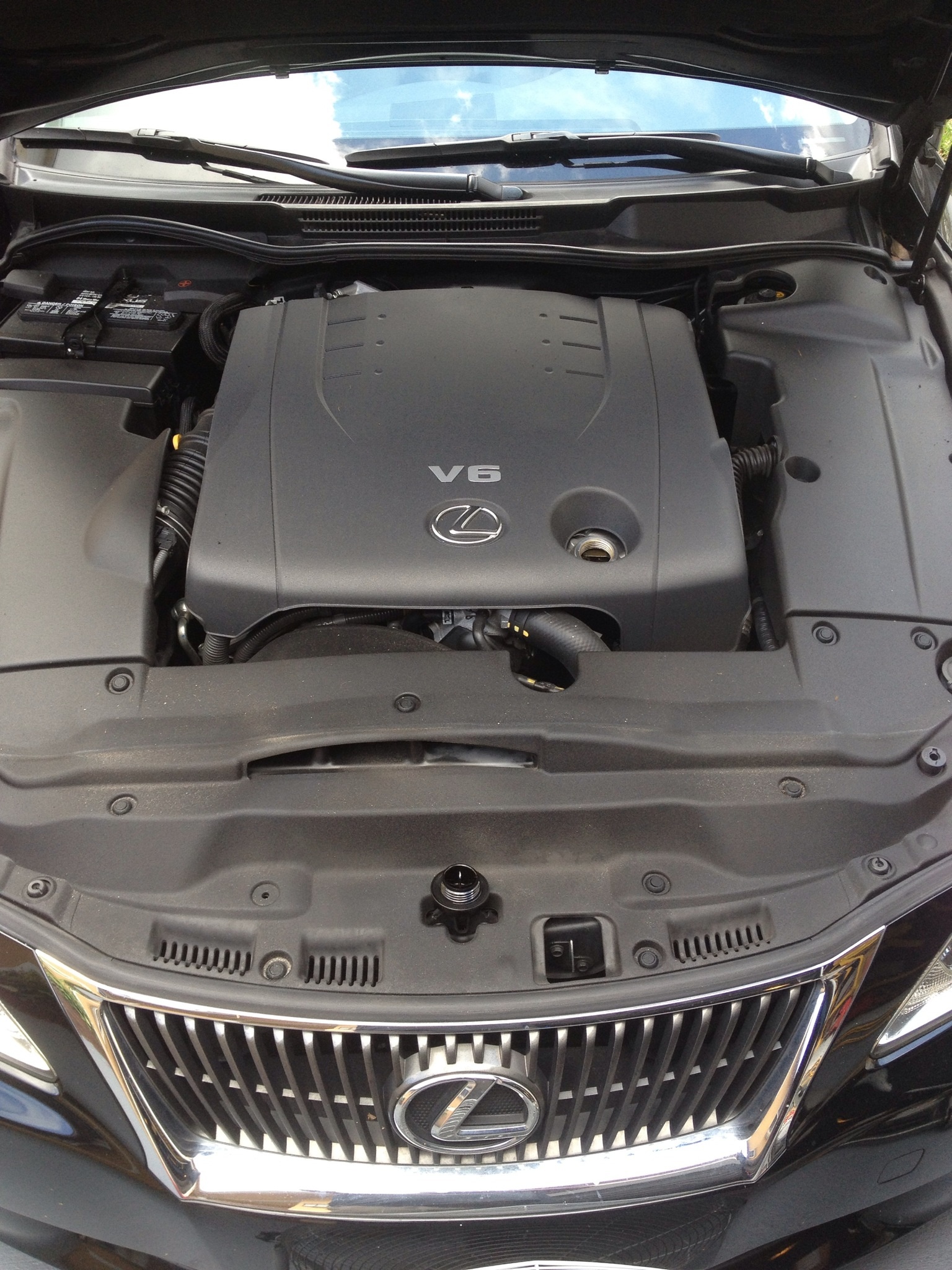 2009 lexus is250 oil type rosamariapanell