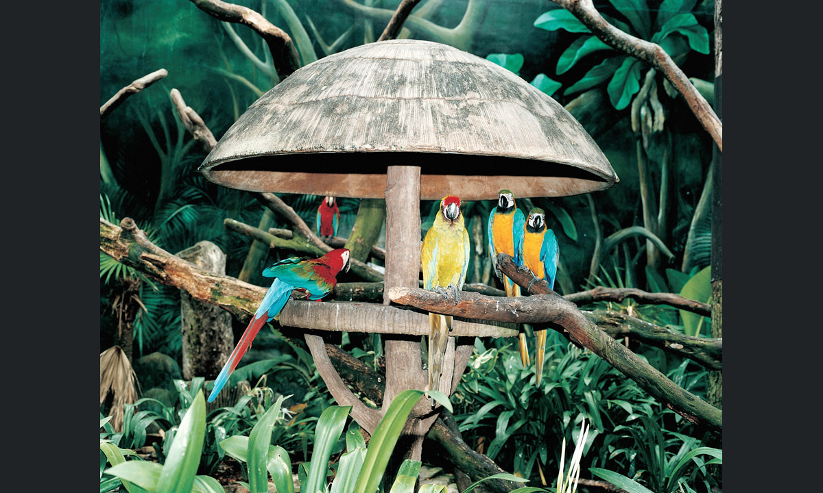 Parco degli uccelli di Jurong