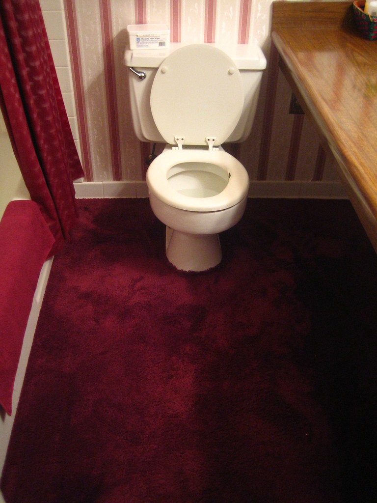 How To Put Carpet In Bathroom Carpet Vidalondon