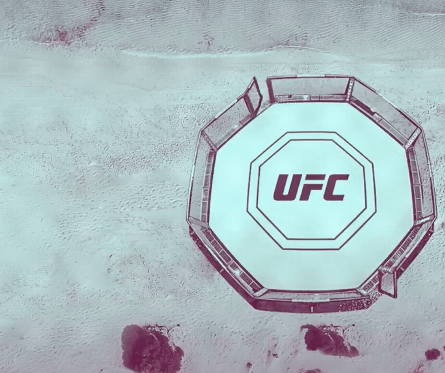 Everything To Know about UFC's Fight Island - Black Belt Magazine - Vimarsana News