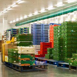 Warehouse full of shipping containers