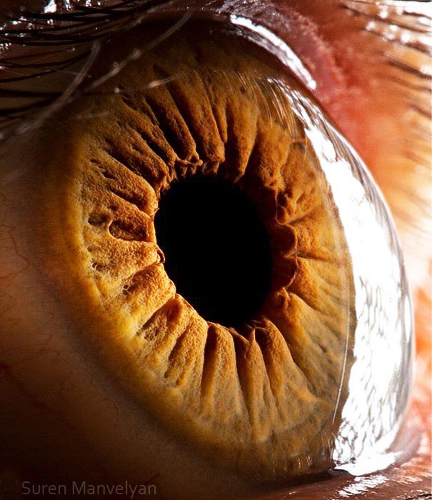 These 14 Incredible Photos Demonstrate The Complexity Of Human Eyes how-do-we-see-color-eye-facts-eye-exercises-human-anatomy-and