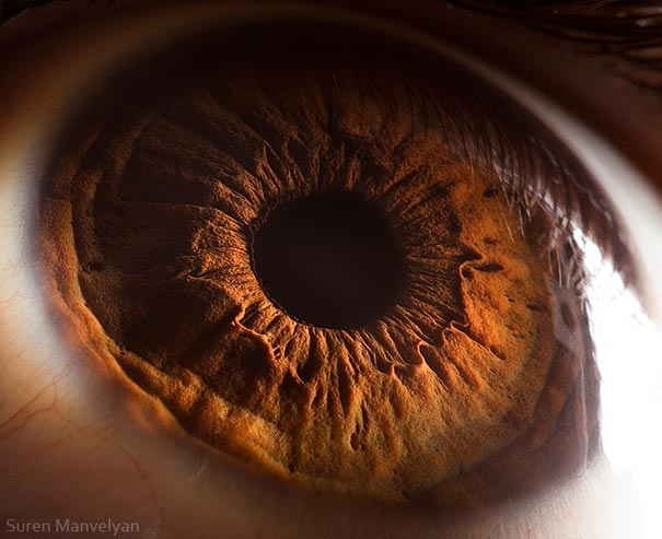 These 14 Incredible Photos Demonstrate The Complexity Of Human Eyes   980x 