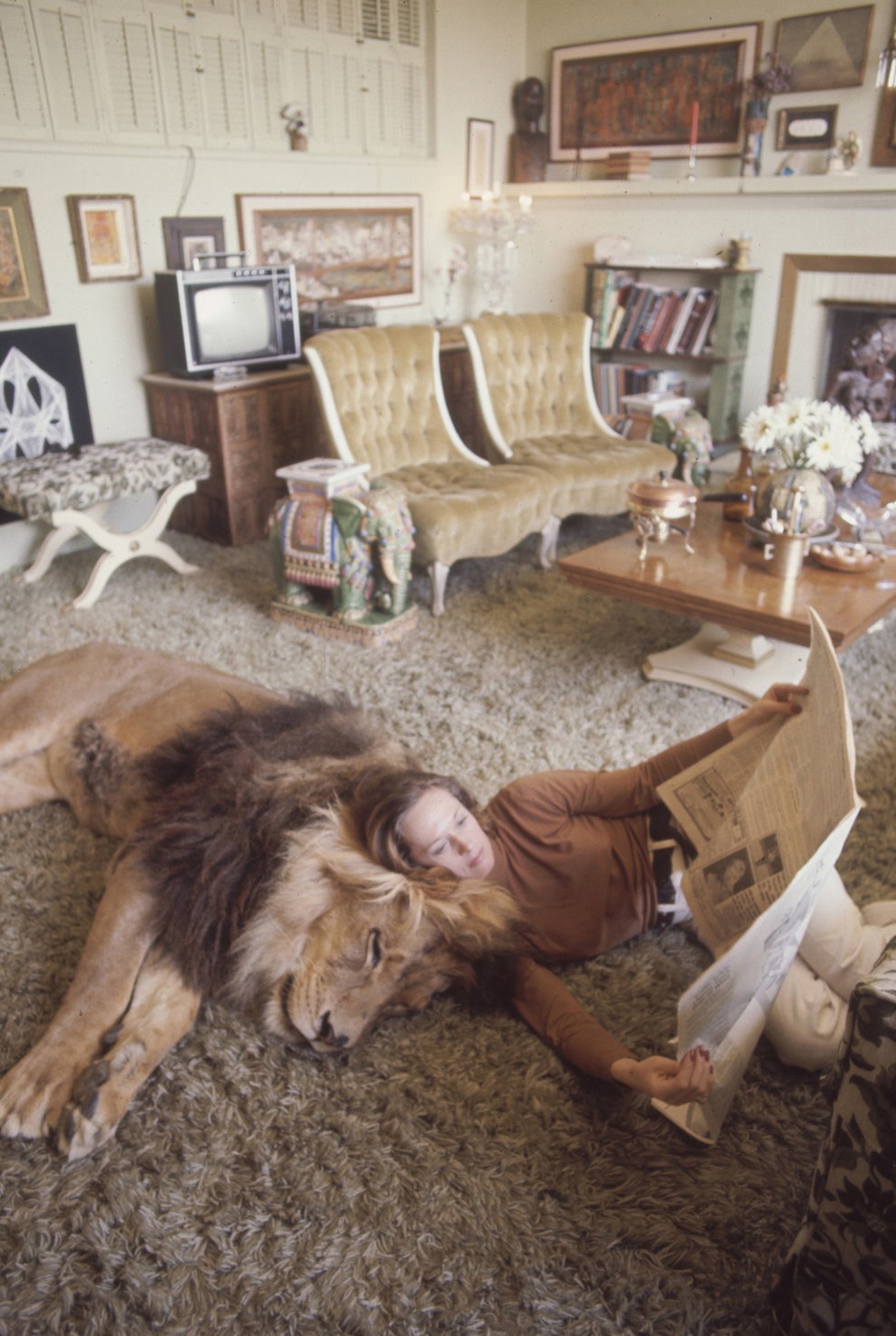 The Bizarre Tale Of Melanie Griffith And Her "Pet" Lion Higher Perspective