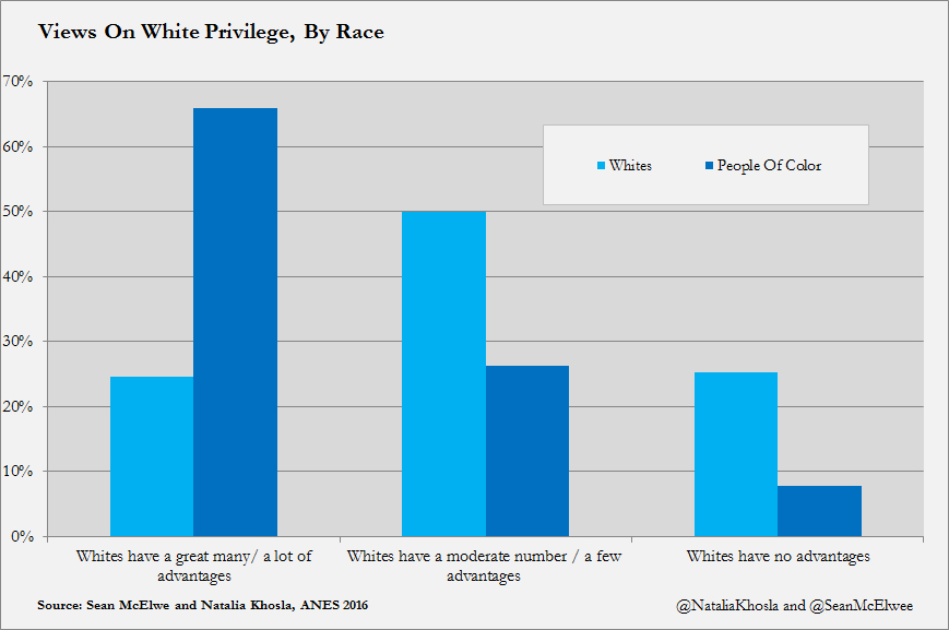 SalonPrivilege1