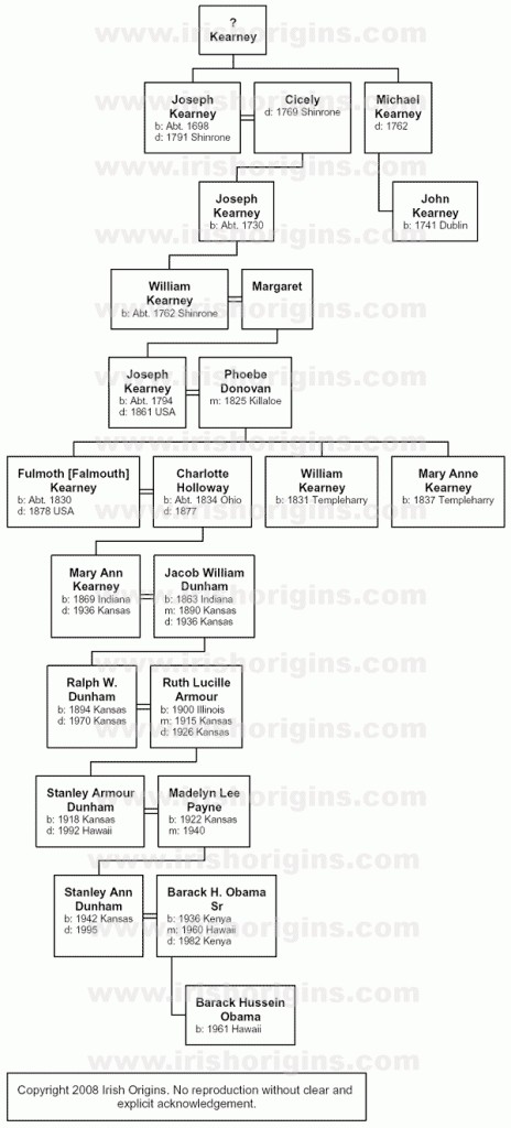 the tree of life a coloring book and family tree