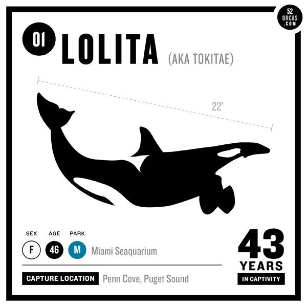 LOLITA FREE PIC lolita free pic: