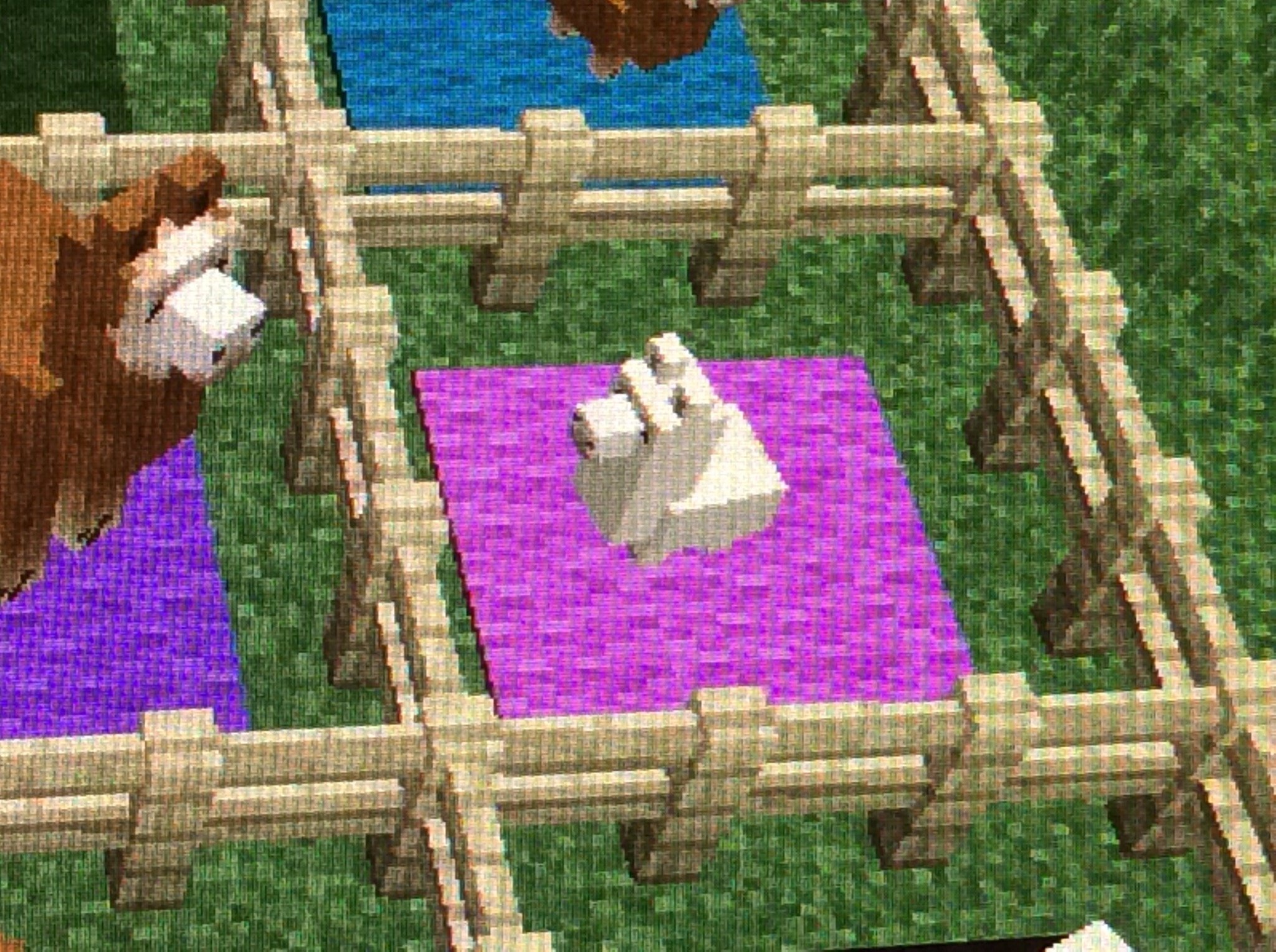 How Do You Tame Llamas In Minecraft