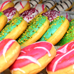 Doughnuts in display case