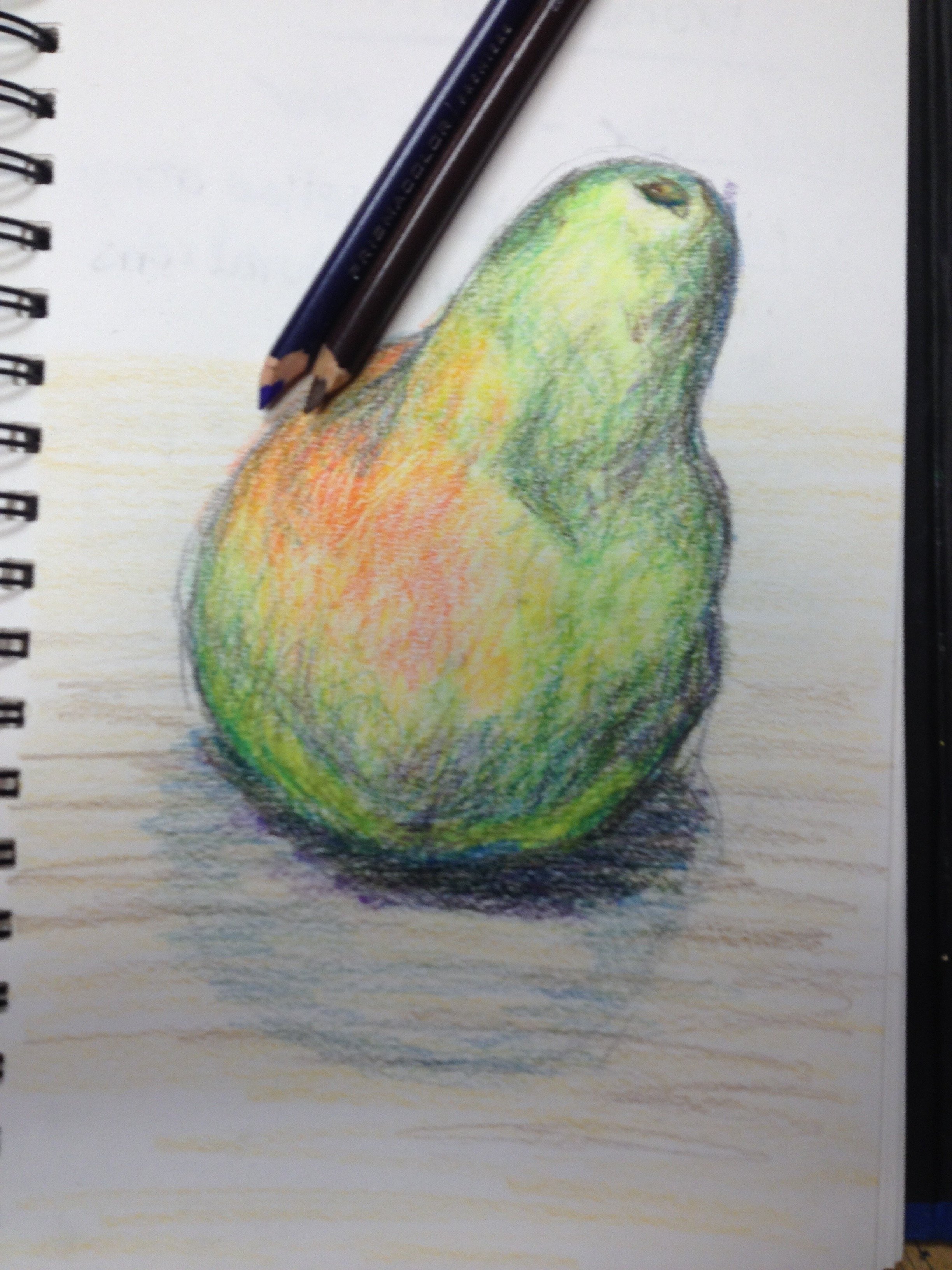 How to Draw a Pear with Colored Pencils