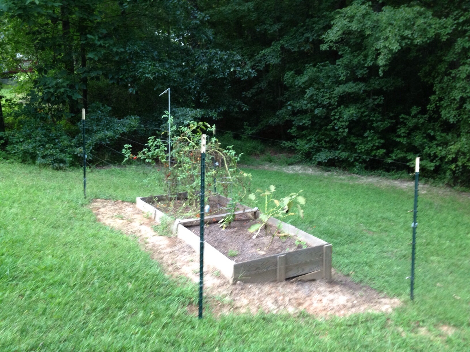 How to deer proof your raised garden - B+C Guides