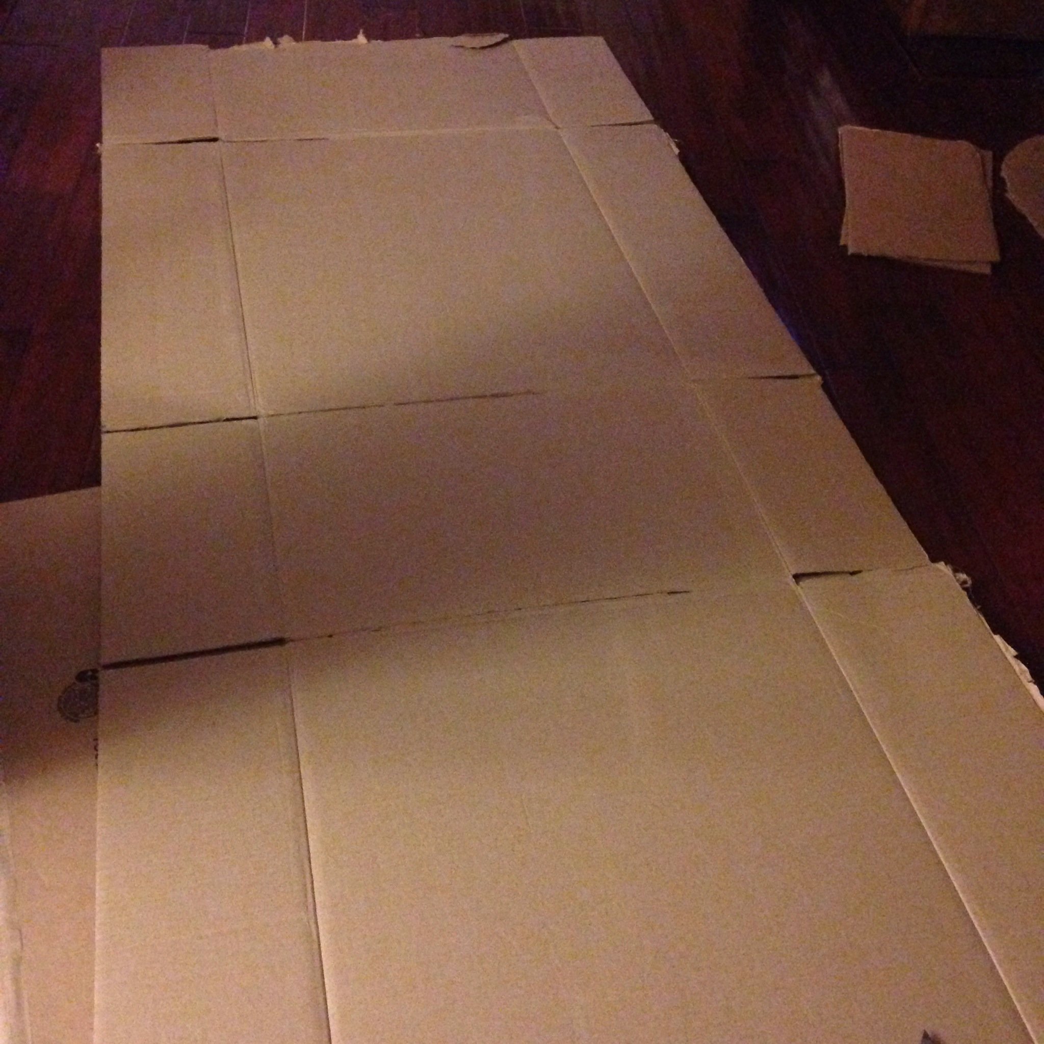 Roller Coaster DIY Cardboard Costume