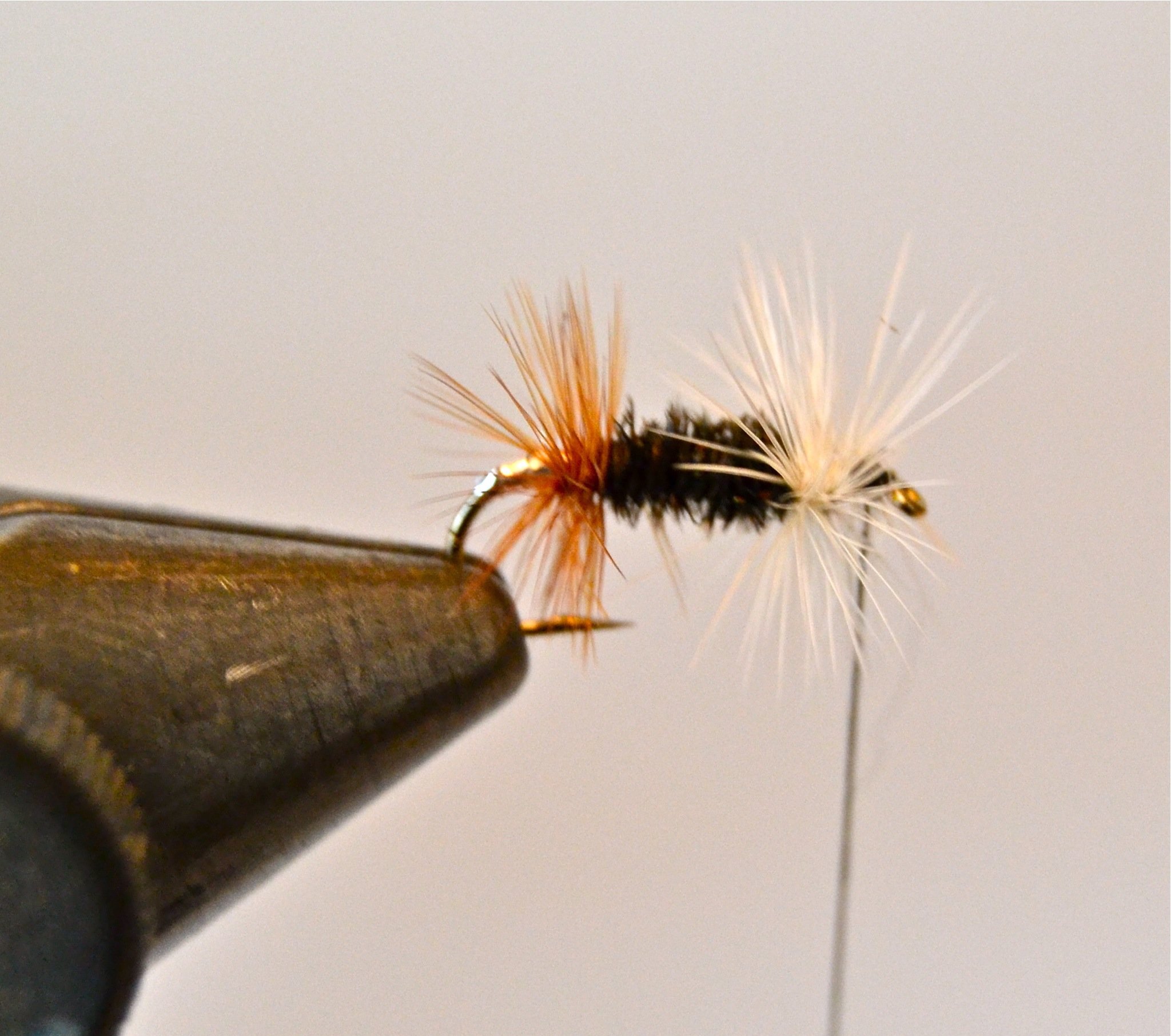 How to tie a renegade fly for fly fishing - B+C Guides