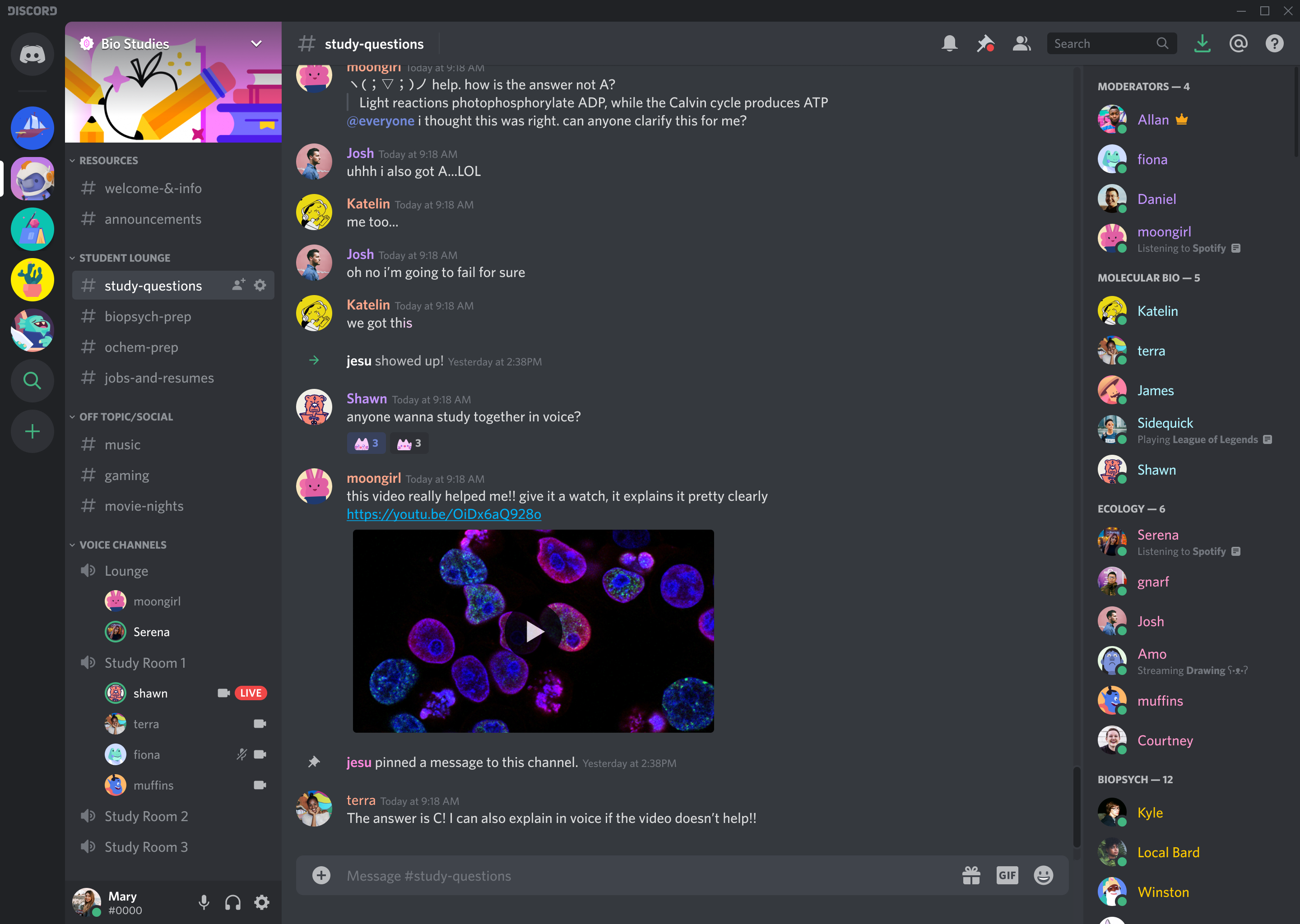 How Discord (somewhat accidentally) invented the future of the internet