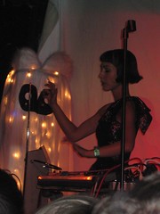 The Octopus Project