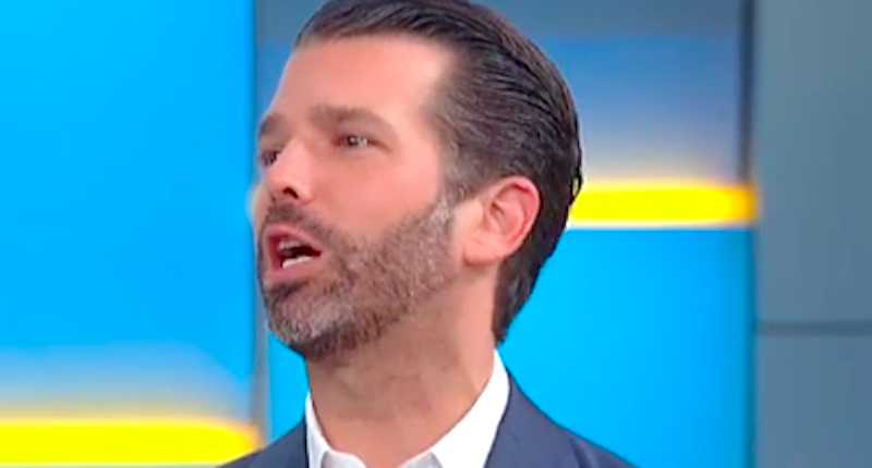 Donald Trump Jr. Investing In Far-right OANN -- 'aiming To Take Down ...