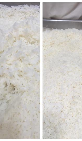 Combi Steam Oven Recipes I Cooking with Steam - Steamed Rice