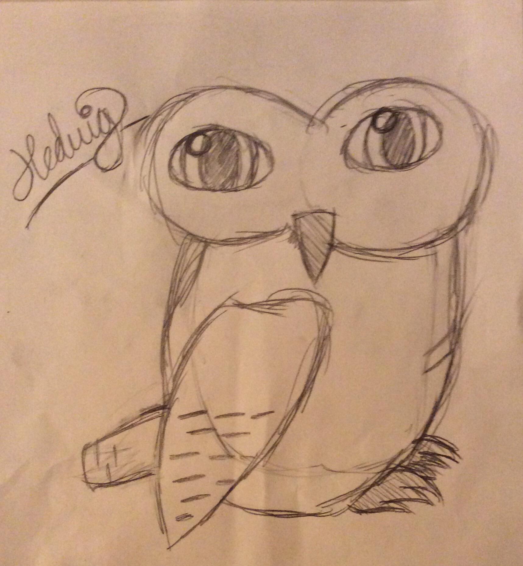How to Draw Hedwig, Harry Potter's Snowy Owl – Draw Fluffy