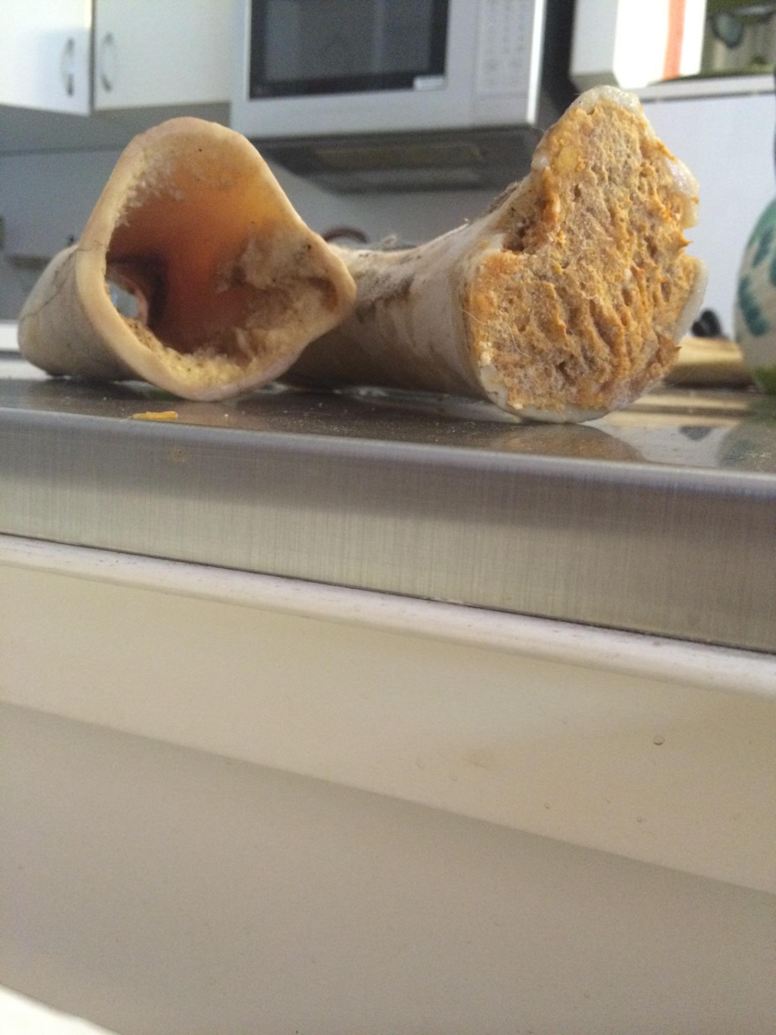 diy filling for dog bones