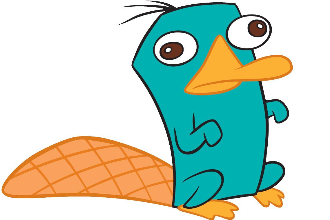 How To Draw Perry The Platypus Trackreply4