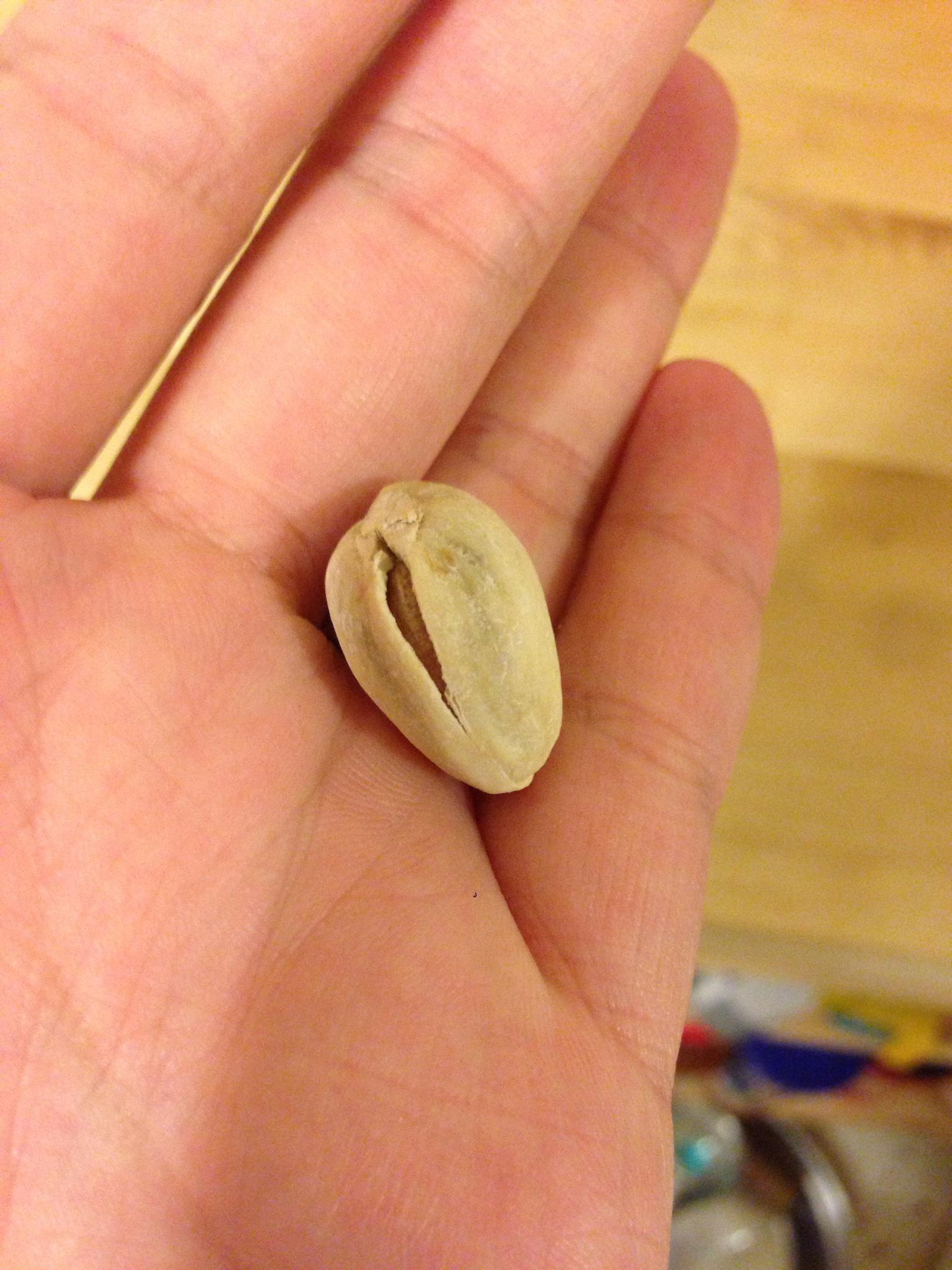 How to open an almost closed pistachio