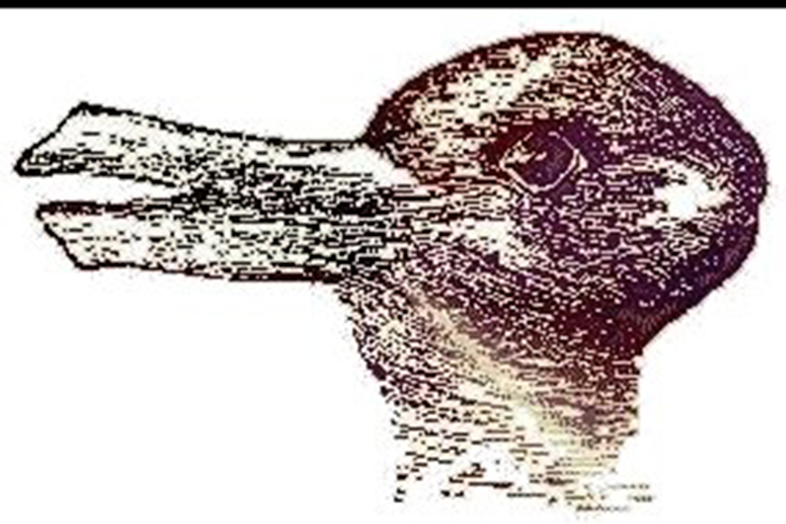 10 Amazing Optical Illusions The Dr Oz Show