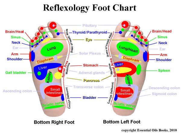 Reflexology Foot Chart The Dr Oz Show The Dr Oz Show