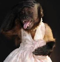 From papermag.com: Lady Gaga Tries On a Wedding Dress IRL + Crystal the Monkey Makes , From GoogleImages