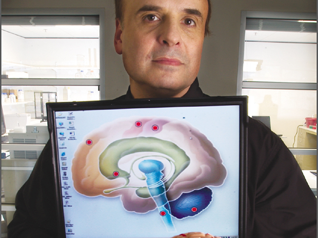 Winner: This is Your Brain Online - IEEE Spectrum