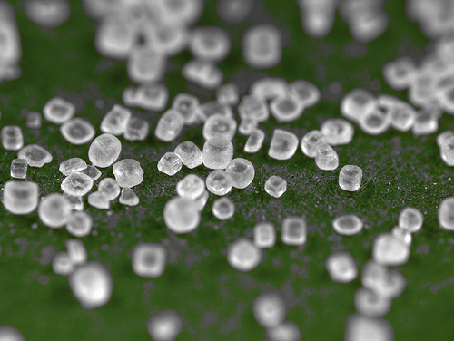 Batteries the Size of a Grain of Salt Enabled by Nanowires - IEEE