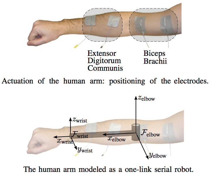 Позиции Arms Control. Robotic Human Arm. Robot Wrist. Dual-Direction Arm человек. Arms control