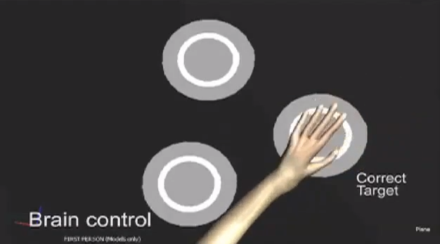 Monkeys Use Brain Interface to Move and Feel Virtual Objects