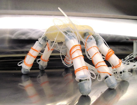Jamming Robot Gripper Grows Some Legs - IEEE Spectrum