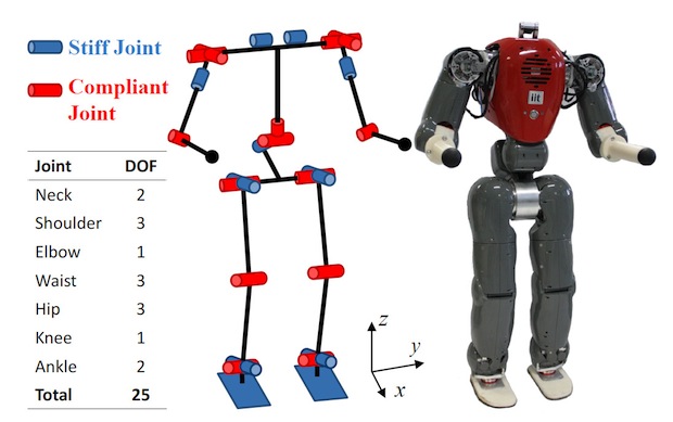Toe joint mechanism of human (a), and of existing humanoid robots (b).