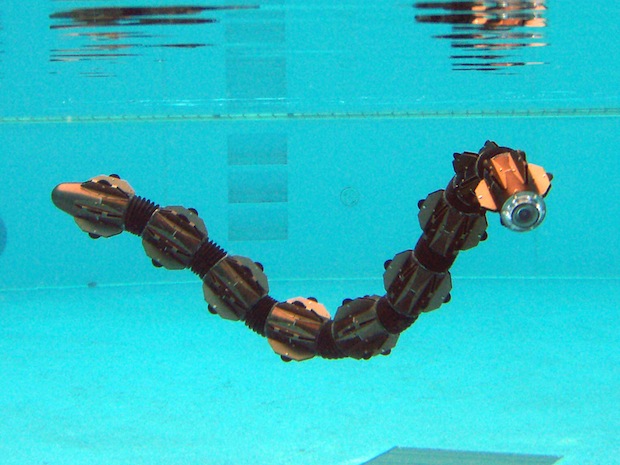 1: The snake robot ACM III (left), which was the world's first snake