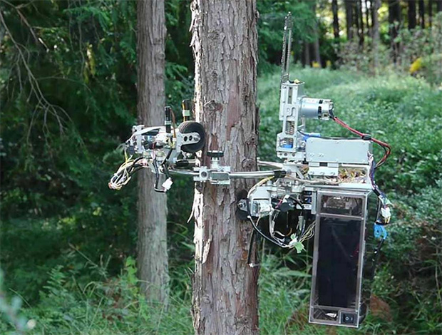 End adjektiv Optage No Tree Is Safe From This Chainsaw-Wielding Robot - IEEE Spectrum