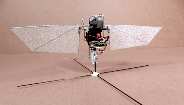 The 2.1 Million Dollar Robot Hummingbird That Will Save Your Life, Say What?