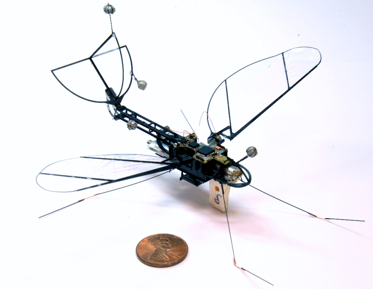 Launches Robot Moth - IEEE Spectrum