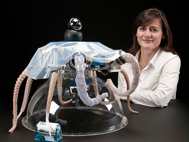 Robot Octopus Points the Way to Soft Robotics With Eight Wiggly Arms - IEEE  Spectrum