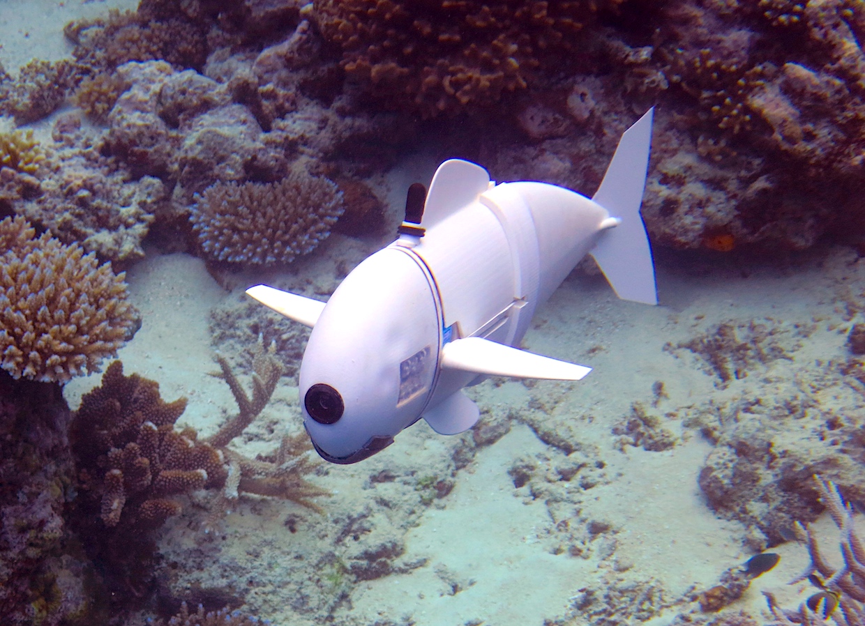 MIT's Soft Robotic Fish Explores Reefs in Fiji - IEEE Spectrum