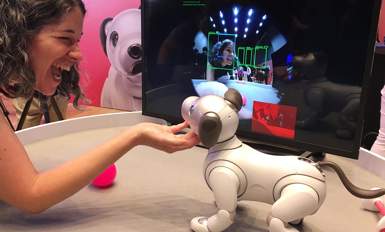 Sony Aibo, il cane robot in vendita da settembre in USA a 2899