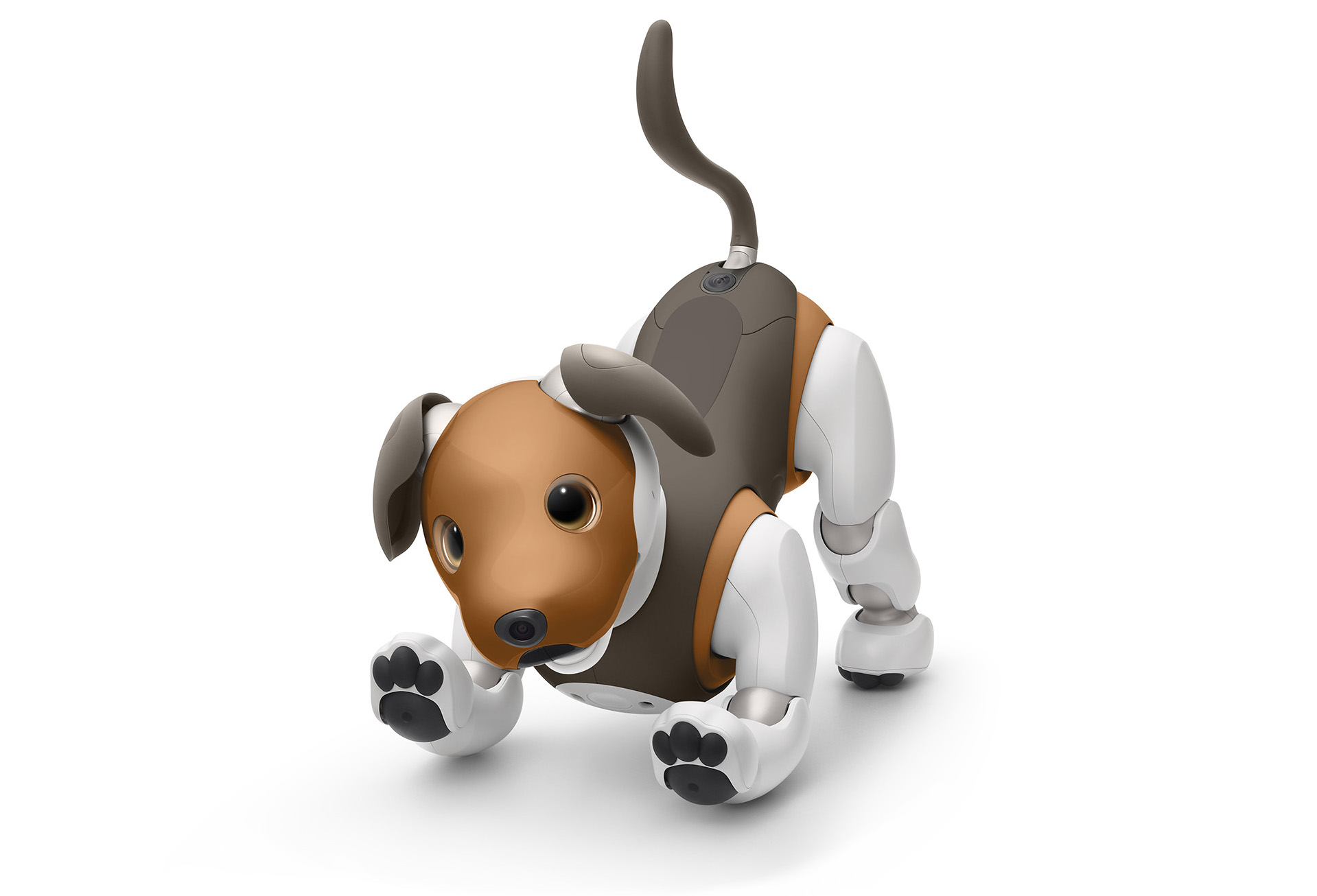 Sony Upgrading Aibo With New Home Security Features Api Access Ieee Spectrum