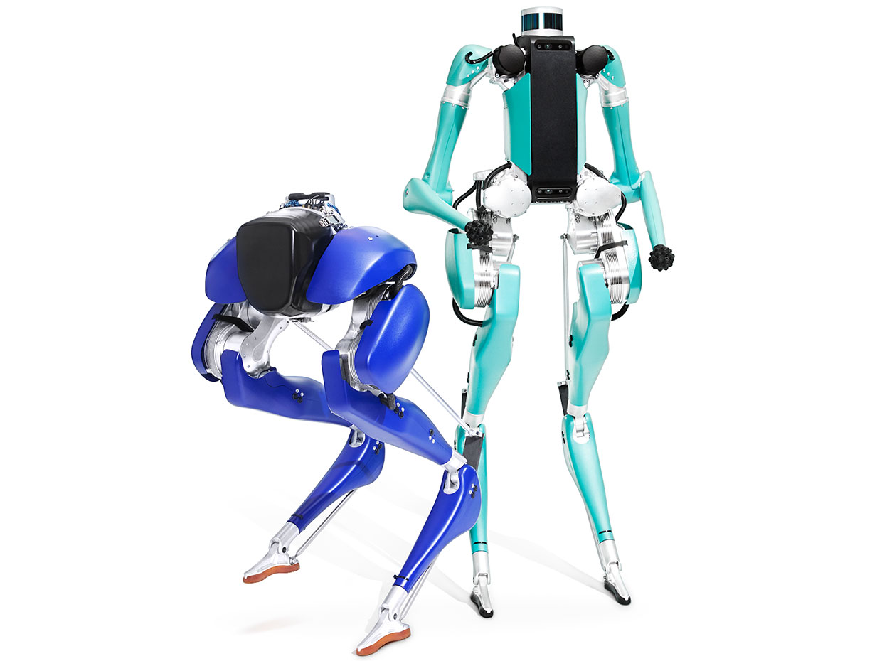 Oferta de trabajo Competidores sutil Building Robots That Can Go Where We Go - IEEE Spectrum