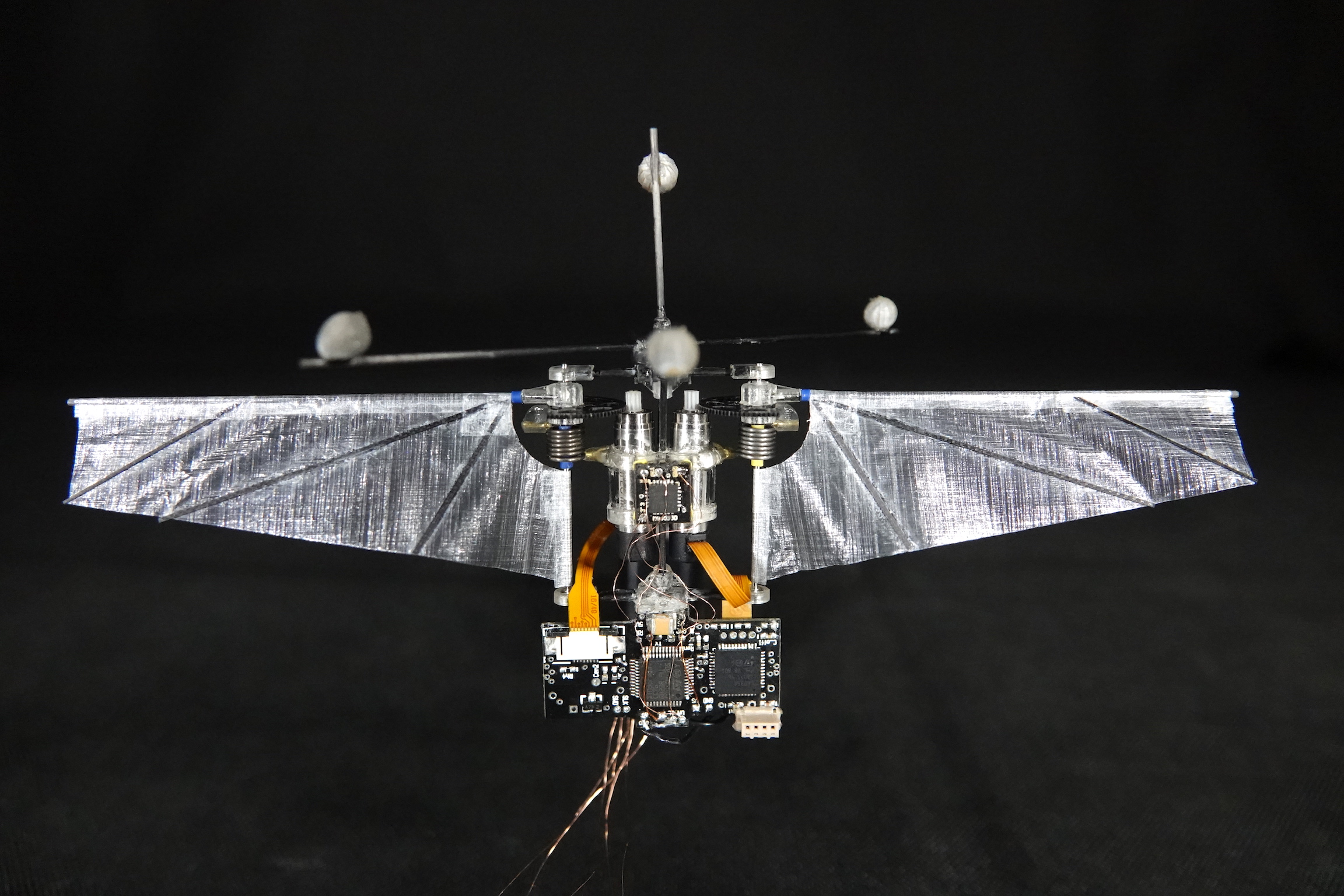 little wing electron HUMMINGBIRD プリアンプ little wing electron HUMMINGBIRD プリアンプ Little Wing