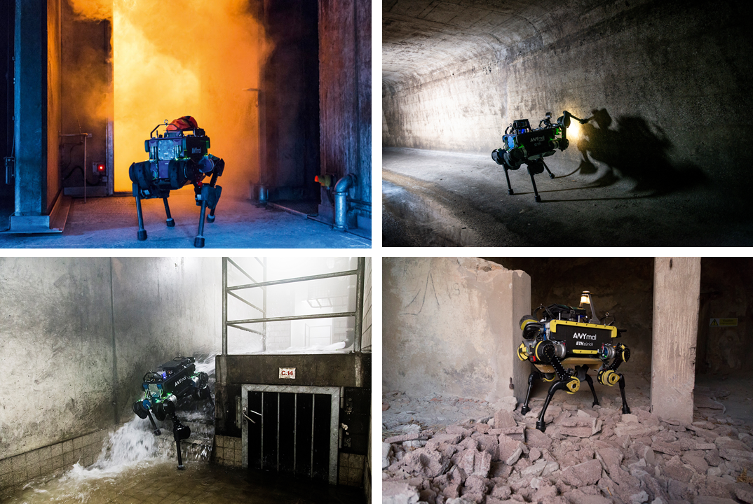 Robotic Animal Agility - IEEE Spectrum