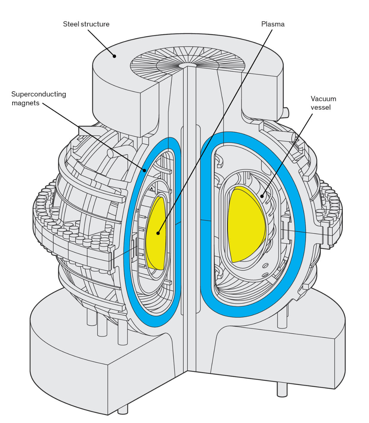 Nuclear Fusion: How Fast Does Plasma Rotate?