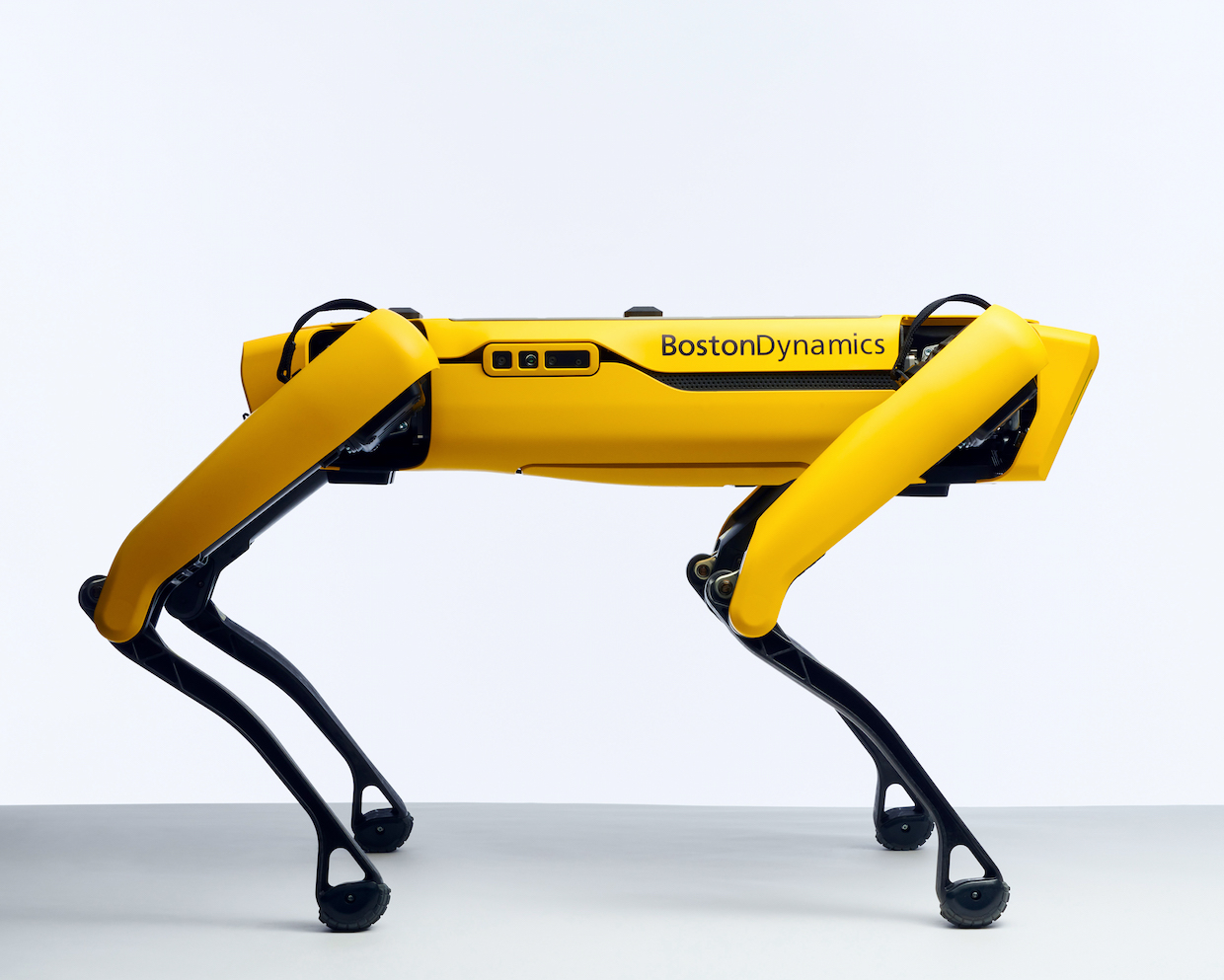 reparatøren Raffinaderi grafisk Boston Dynamics' Spot Robot Dog Now Available for $74,500 - IEEE Spectrum