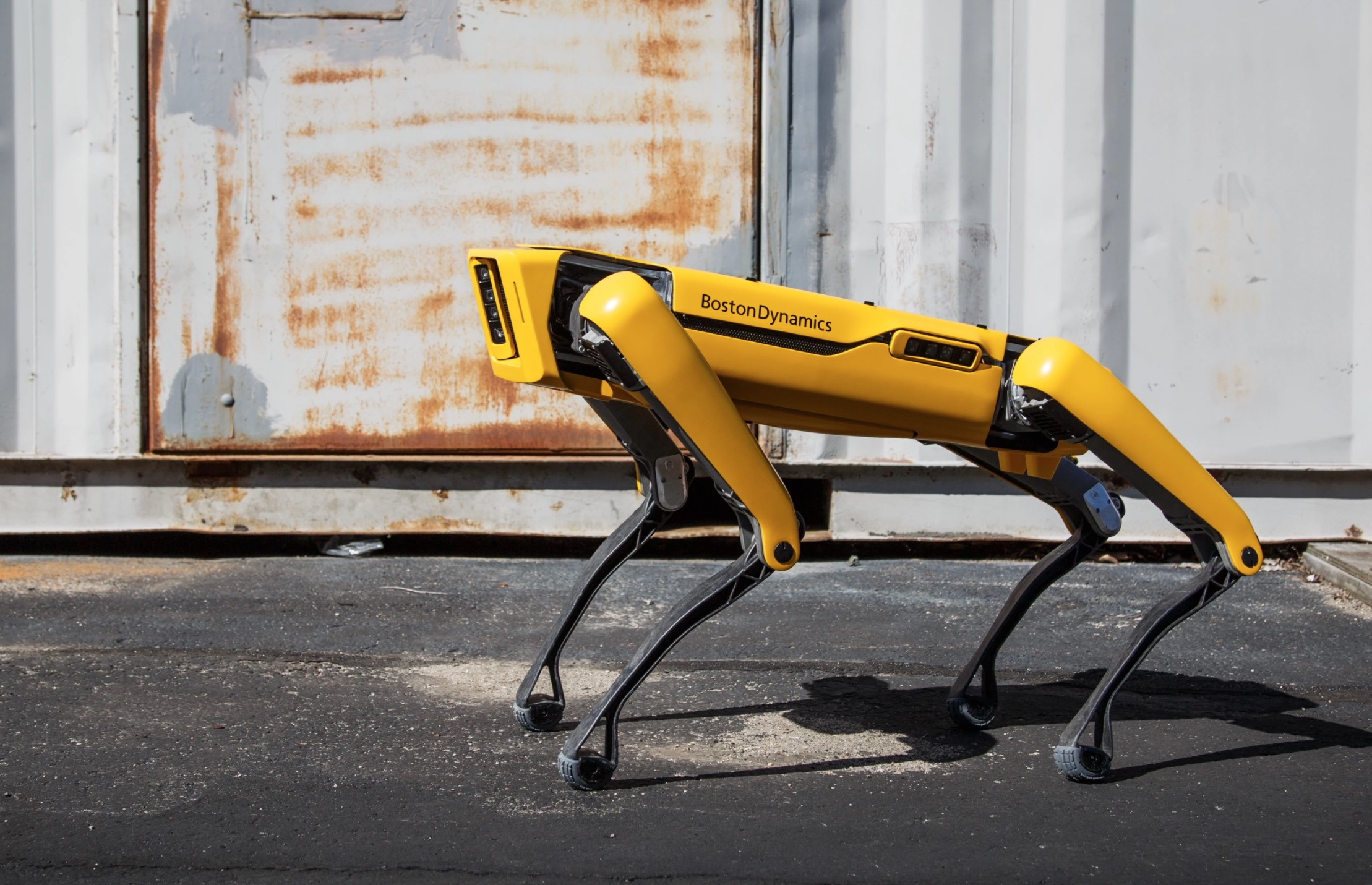 Boston Dynamics Spot Robot Dog Now Available For 74 500 Ieee Spectrum