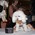 dog fashion show